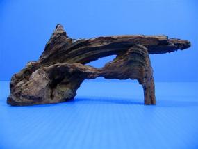 img 3 attached to 🌳 Natural Driftwood 6" Aquarium Ornament - Tree Trunk Design Fish Tank Wood Décor