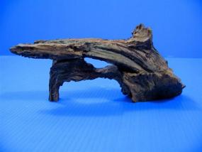 img 1 attached to 🌳 Natural Driftwood 6" Aquarium Ornament - Tree Trunk Design Fish Tank Wood Décor