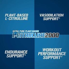 img 2 attached to 💪 Evlution Nutrition L-Citrulline2000: Ultra-Pure Plant-Based Citrulline Supplement for Nitric Oxide, Pumps, Muscle Endurance, Vascularity | Powerful Workout Booster in Capsules (30 Servings)