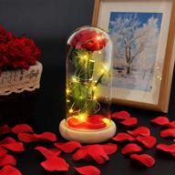 🌹 eternal red rose flowers gift for her - artificial flower red rose with led light string in a glass dome, ideal for girlfriend, wedding, anniversary, mother's day, birthday celebration logo