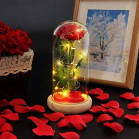 img 4 attached to 🌹 Eternal Red Rose Flowers Gift for Her - Artificial Flower Red Rose with LED Light String in a Glass Dome, Ideal for Girlfriend, Wedding, Anniversary, Mother's Day, Birthday Celebration