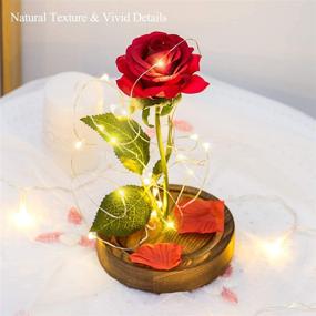 img 3 attached to 🌹 Eternal Red Rose Flowers Gift for Her - Artificial Flower Red Rose with LED Light String in a Glass Dome, Ideal for Girlfriend, Wedding, Anniversary, Mother's Day, Birthday Celebration