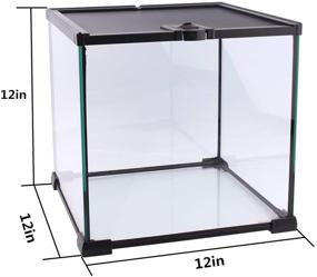 img 3 attached to 🦎 AIICOO Reptile Glass Tank - Spacious Natural Terrarium for Chameleon, Gecko, Corn Snake, Iguana & Lizard Aquarium