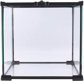 img 4 attached to 🦎 AIICOO Reptile Glass Tank - Spacious Natural Terrarium for Chameleon, Gecko, Corn Snake, Iguana & Lizard Aquarium