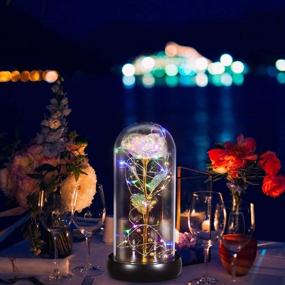 img 1 attached to LED Fairy Lights Beauty and The Beast Rose, Colorful Forever Rose in Glass Dome with Box and Card – Romantic Gift Perfect for Valentine's Day, Mother's Day, Anniversary, Birthday, Christmas