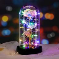 led fairy lights beauty and the beast rose, colorful forever rose in glass dome with box and card – romantic gift perfect for valentine's day, mother's day, anniversary, birthday, christmas logo