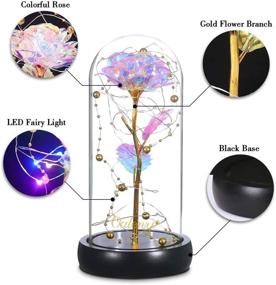 img 3 attached to LED Fairy Lights Beauty and The Beast Rose, Colorful Forever Rose in Glass Dome with Box and Card – Romantic Gift Perfect for Valentine's Day, Mother's Day, Anniversary, Birthday, Christmas
