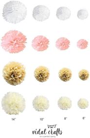 img 2 attached to 🎉 Vidal Crafts Party Tissue Paper Pom Poms Kit - Set of 20 Pieces (14", 10", 8", 6" Paper Flowers) for Wedding, Birthday, Baby Shower, Nursery or Playroom Decorations - Pink, Champagne, Ivory, White