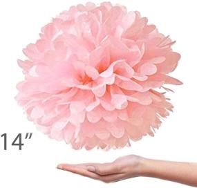 img 1 attached to 🎉 Vidal Crafts Party Tissue Paper Pom Poms Kit - Set of 20 Pieces (14", 10", 8", 6" Paper Flowers) for Wedding, Birthday, Baby Shower, Nursery or Playroom Decorations - Pink, Champagne, Ivory, White