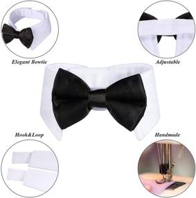 img 1 attached to 🐶 Stylish 4-Piece Adjustable Pets Dog Cat Bow Tie Set with Formal Tuxedo Costume Necktie Collar Stripes for Small Dogs Cats (S)