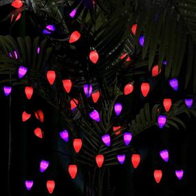 img 2 attached to 🎃 C7 Bulbs Battery Operated Halloween String Lights with Timer - Purple Orange 50 LED 24ft String Lights - Fairy Lighting for Outdoor, Indoor, Garden, Yard, Party, Home, Wreath, Garland