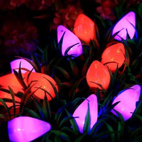 img 3 attached to 🎃 C7 Bulbs Battery Operated Halloween String Lights with Timer - Purple Orange 50 LED 24ft String Lights - Fairy Lighting for Outdoor, Indoor, Garden, Yard, Party, Home, Wreath, Garland