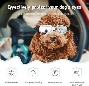 img 3 attached to 🐶 PEDOMUS Dog Sunglasses: Protect Your Small Dog's Eyes with UV Protection, Windproof & Waterproof Doggles!