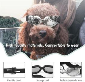 img 2 attached to 🐶 PEDOMUS Dog Sunglasses: Protect Your Small Dog's Eyes with UV Protection, Windproof & Waterproof Doggles!