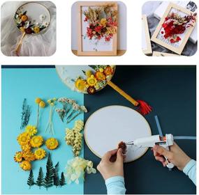 img 3 attached to 🌸 3 Packs of Real Natural Dried Flowers for Handmade Crafts: Mobile Phone Cases, Candles, Epoxy Resin Pendant Necklaces, Jewelry, and DIY Accessories - Mixed Multi-Color Dried Flowers (Randomly Shipped 3 Packs)