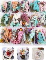 🌸 3 packs of real natural dried flowers for handmade crafts: mobile phone cases, candles, epoxy resin pendant necklaces, jewelry, and diy accessories - mixed multi-color dried flowers (randomly shipped 3 packs) logo