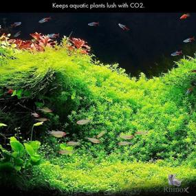 img 1 attached to 🌿 Rhinox Nano CO2 Diffuser: Hassle-Free Setup for Healthy Aquarium Plants with Pressurized CO2 - Ideal for Tanks Under 20 Gallon