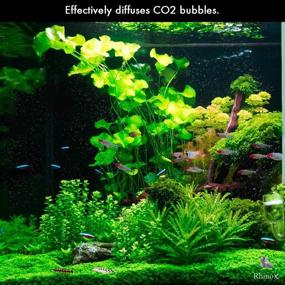 img 2 attached to 🌿 Rhinox Nano CO2 Diffuser: Hassle-Free Setup for Healthy Aquarium Plants with Pressurized CO2 - Ideal for Tanks Under 20 Gallon