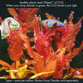 img 3 attached to 🌿 Rhinox Nano CO2 Diffuser: Hassle-Free Setup for Healthy Aquarium Plants with Pressurized CO2 - Ideal for Tanks Under 20 Gallon