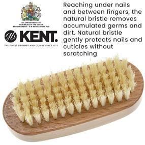 img 1 attached to 🌲 Premium Beech Wood Kent NB3 Nail Brush with Back Bristles