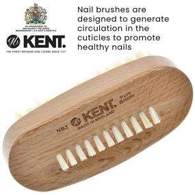 img 2 attached to 🌲 Premium Beech Wood Kent NB3 Nail Brush with Back Bristles