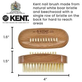 img 3 attached to 🌲 Premium Beech Wood Kent NB3 Nail Brush with Back Bristles