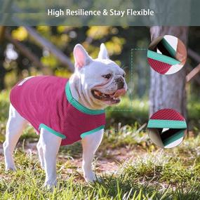 img 2 attached to 🐶 IREENUO 2 Pack Dog Shirts: Cooling T-Shirt Set for Small Dogs & Cats - Quick Dry, Breathable & Stretchy Pet Apparel