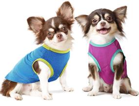 img 4 attached to 🐶 IREENUO 2 Pack Dog Shirts: Cooling T-Shirt Set for Small Dogs & Cats - Quick Dry, Breathable & Stretchy Pet Apparel