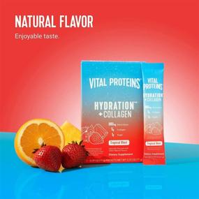 img 1 attached to Порошок электролитов Vital Proteins Hydration с коллагеном - низкое содержание сахара, высокое содержание электролитов - витамин C в 100% суточной нормы (Tropical Blast, 7 штук)