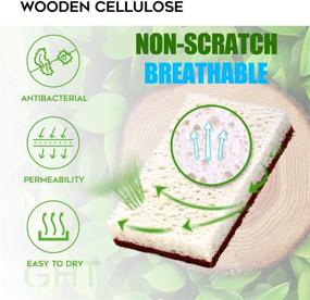 img 2 attached to Environmentally-Friendly Natural Plant-Based Scrub Sponge 12 Pack: Palm Fiber Biodegradable Compostable Sponges for Non-Scratch Dishwashing & Kitchen Scrubbing