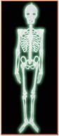 🎃 glow in the dark light green beistle halloween skeleton figure: spooky decor must-have logo