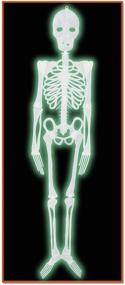 img 1 attached to 🎃 Glow in the Dark Light Green Beistle Halloween Skeleton Figure: Spooky Decor Must-Have