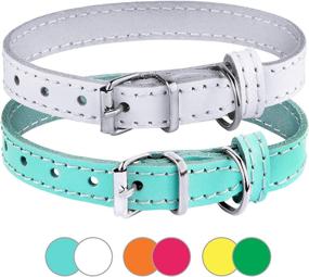 img 4 attached to BRONZEDOG Leather Collar Collars Turquoise