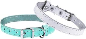 img 3 attached to BRONZEDOG Leather Collar Collars Turquoise