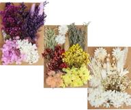 flowers hydrangeas multiple colorful decorative logo
