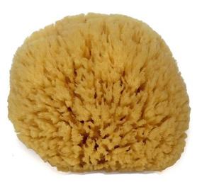 img 4 attached to 🧽 Enhance Your At-Home Spa Experience with Spa Destinations' Natural Sea Sponge (6-7 inches)