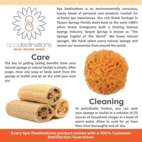 img 1 attached to 🧽 Enhance Your At-Home Spa Experience with Spa Destinations' Natural Sea Sponge (6-7 inches)