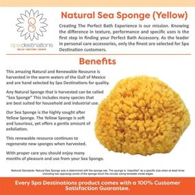 img 2 attached to 🧽 Enhance Your At-Home Spa Experience with Spa Destinations' Natural Sea Sponge (6-7 inches)