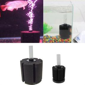 img 1 attached to Aquapapa Bio Sponge Filter 4-Pack for Up to 10 Gal Breeding Fry Betta Shrimp Turtles Nano Fish Tank Aquarium