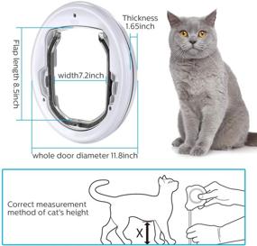img 3 attached to 🐱 Magnetic Cats Door: Lightweight & Durable, Easy Install for Glass Doors by OWNPETS - Suitable for All Cats and Small Dogs