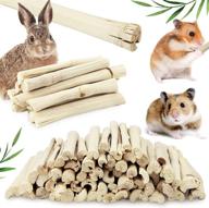 🐹 heatoe 1 ib pet molar sweet bamboo snacks for small animals: rabbits, chinchillas, guinea pigs, hamsters, squirrels, and more! logo