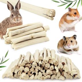 img 4 attached to 🐹 Heatoe 1 Ib Pet Molar Sweet Bamboo Snacks for Small Animals: Rabbits, Chinchillas, Guinea Pigs, Hamsters, Squirrels, and More!