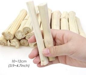 img 3 attached to 🐹 Heatoe 1 Ib Pet Molar Sweet Bamboo Snacks for Small Animals: Rabbits, Chinchillas, Guinea Pigs, Hamsters, Squirrels, and More!