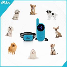 img 1 attached to 🐶 eXuby - Smallest Shock Collar for Small Dogs 5-15lbs - Sound, Vibration, &amp; Shock - 9 Intensity Levels - Pocket-Size Remote - Long Battery Life - Water-Resistant - Teal - Ideal for SEO