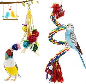 img 1 attached to 🦜 Set of 6 Small Bird Swing Toys: Natural Wood and Rope Bungee Bird Toy for Parrots, Parakeets, Cockatiel, Conure, Mynah, Macaw, and Other Small Birds