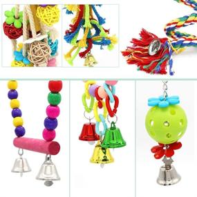 img 3 attached to 🦜 Set of 6 Small Bird Swing Toys: Natural Wood and Rope Bungee Bird Toy for Parrots, Parakeets, Cockatiel, Conure, Mynah, Macaw, and Other Small Birds