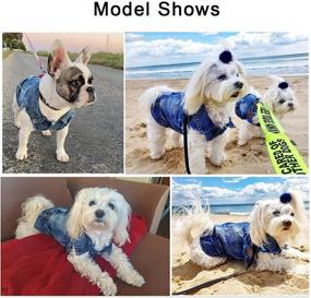 img 2 attached to 🐾 Stylish Blue Denim Coat for Small-Medium Dogs and Cats - LKEX Dog Jean Jacket, Soft Shirt, Classic Lapel Vests, Trendy Fashion Clothes