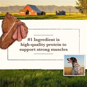 img 1 attached to 🐶 Grain-Free Dry Dog Food by Whole Earth Farms