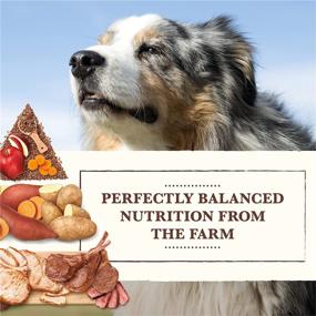 img 2 attached to 🐶 Grain-Free Dry Dog Food by Whole Earth Farms