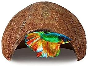 img 2 attached to 🐠 SunGrow Betta Fish Coconut Shell Cave: Enhanced Habitat for Breeding, Resting, and Relaxation, with Soft-Textured Smooth Edges